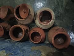 Love bird matkiya 9 matkiya for sale