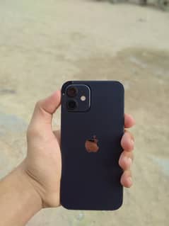iPhone 12 64 gb JV