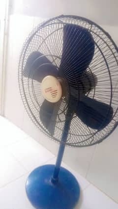 fan