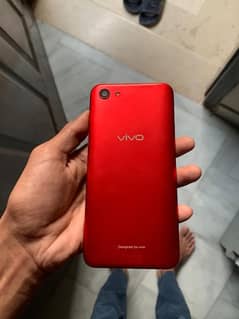 Vivo