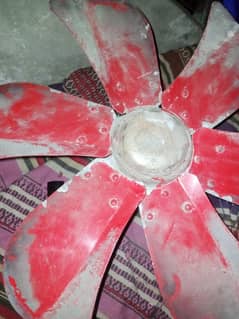 Air cooler moter and fan