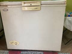 Dawlance deep freezer for sell