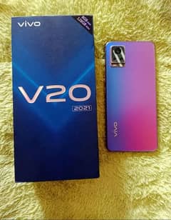 vivo