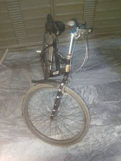 Phoenix cycle
