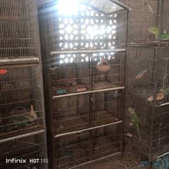 birds cage