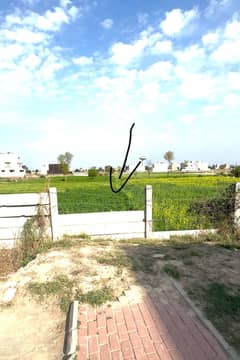 Plot