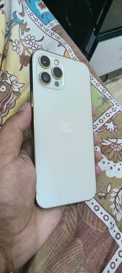 12 pro max pta