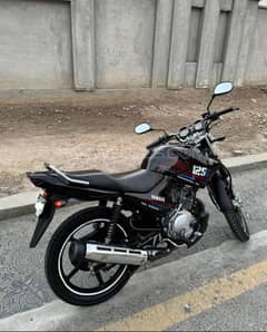 Yamaha