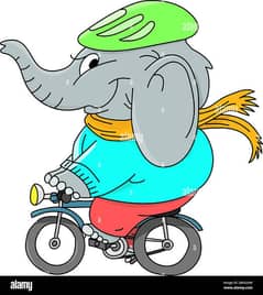 Bike Rider + Deliver Boy . . . Stock Handler Loader