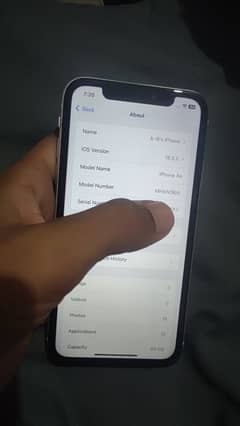iPhone