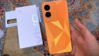 vivo