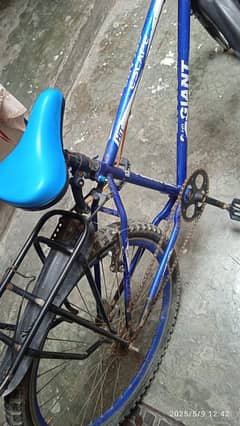 zbrdst Bicycle