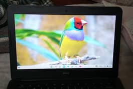 Dell