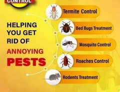 Fumigation Cockroaches Mosquito Spray, Termite treatment Control
