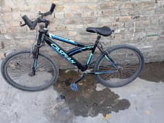 cycle 4 sale