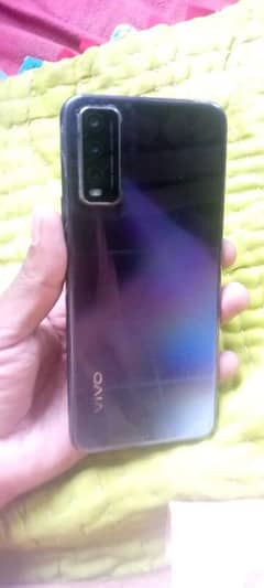 vivo