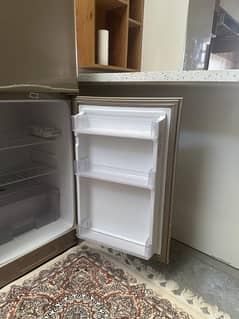 medium size freg