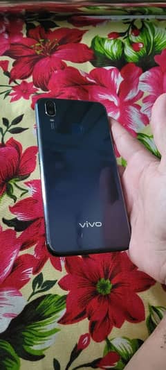 vivo
