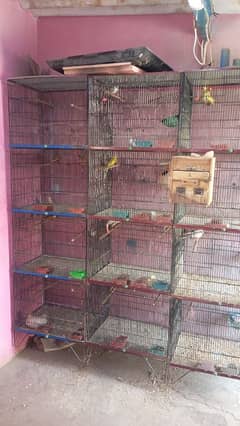 cage