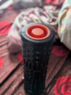 gym roller