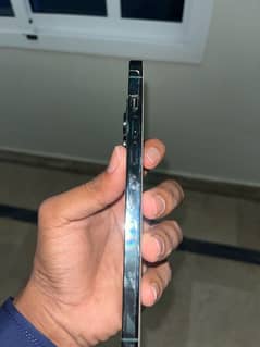13 pro max