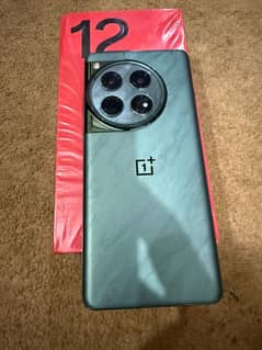 OnePlus 12 5G 16/512 PTA Approved