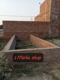 1 Merla shop