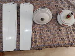Fans | Fan | Ceiling fans | pankha | Gfc fans | 2 fans