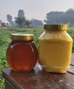 ہمارے پاس بھینس کے خالص دودھ کا تیار کردہ دیسی گھی دستیاب ہوتا ہے