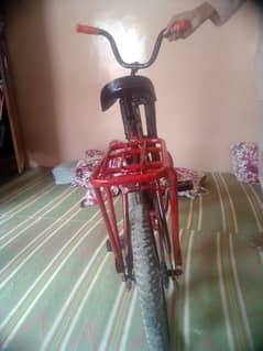 sports cycle