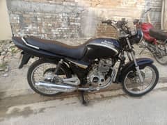 ravi piaggio 2010