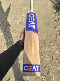 English willow Bat