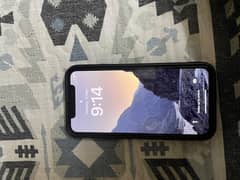 Apple iPhone X