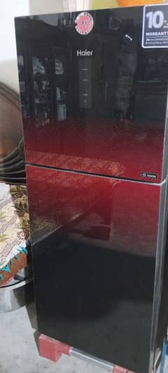 contact number 03047888195