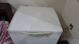 d freezer