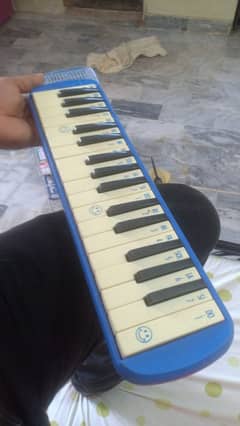 melodica