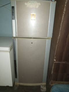 fridge and deep freezer