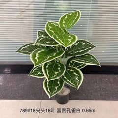 small