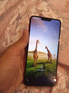 Vivo