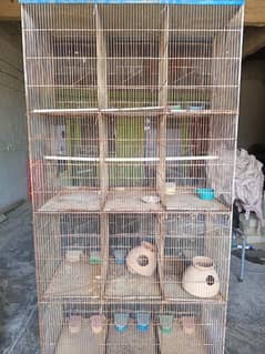 12 Portion Cage