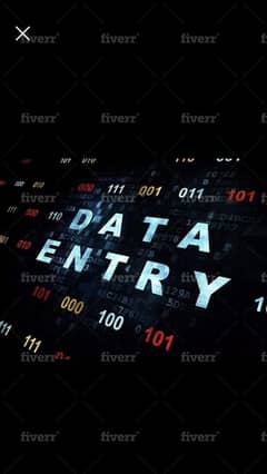Recruiter and Data Entry Operator