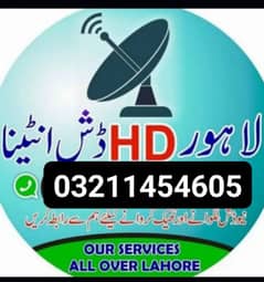 dish