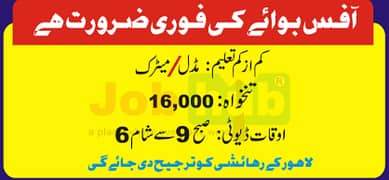 Office boy required