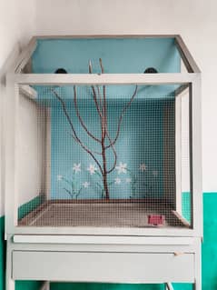Parrot