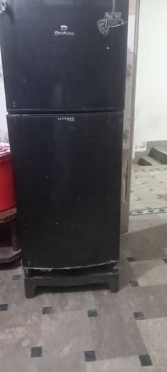 new candisn home usd