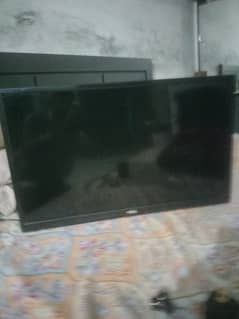 TCL