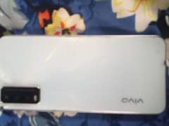 vivo