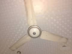 two fan ha