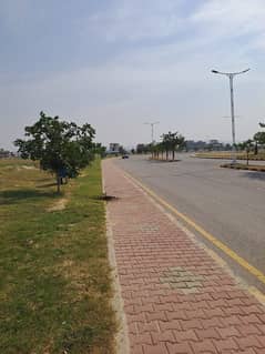 Category Plot For Sale