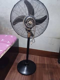 majbori